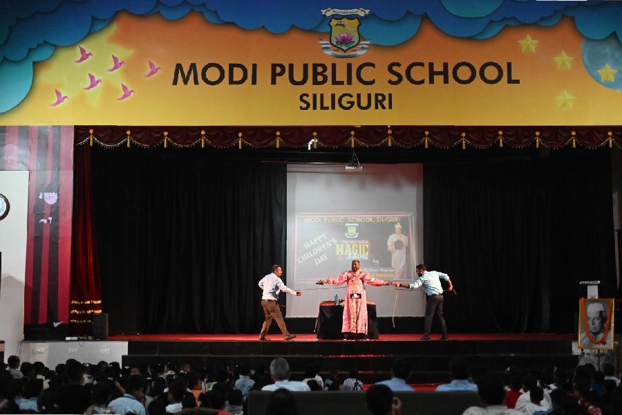 Modi Public School 