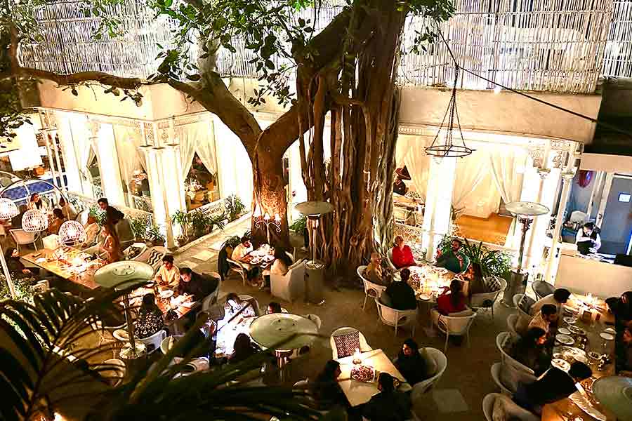 It was a magical evening under the banyan tree as Lucy’s Flower Shop, Stockholm, took over the bar at Olive Bar & Kitchen, Delhi