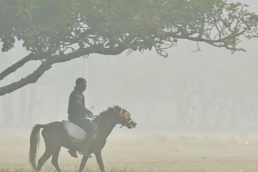 A pony and his jockey brave foggy weather at the Brigade Parade Grounds on Friday
