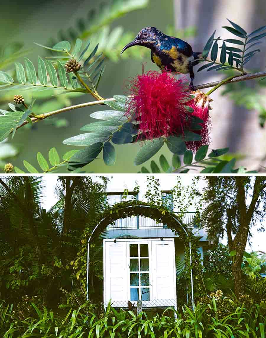 Shibashis Roy Chowdhury won the first place in the Birds category with this stunning picture, while Subhas Dasgupta won second place in the same category. The winners across categories received a cash prize of Rs 11,000 while each runners-up walked away with Rs 7,000. Sandipan Mukherjee, a reputable photographer and author, was the  mentor for the contest. Speaking to My Kolkata, Sandipan said: ‘We got a total of 800 pictures and had to narrow it down to 12 winners across categories which was difficult’