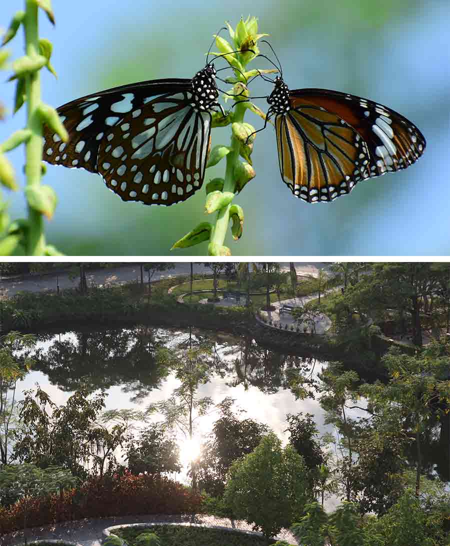 The Macro category was won by Suman Banerjee for this intimate click of the butterflies, while Pradipta Mukherjee took the second place. The wide-frame bird’s-eye view picture of Merlin Aquaville not only captures the beauty of the property but also won the grandest prize as Mohona Sengupta’s click won a grand prize of Rs 41,000. The contest was such a big hit that the photographers and mentors alike cannot wait for another similar event to be held to express their creativity using nature as a medium for artistic expression