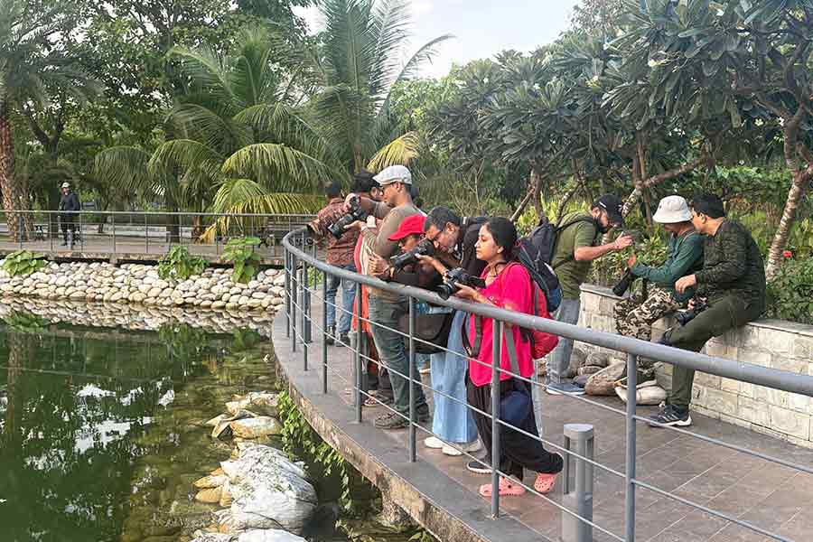 A total of 90 photographers turned up with their lenses to capture the natural beauty of Merlin Aquaville. The Life in Action category was won by Shubayan Saha with Shibashis Roy Chowdhury coming in as the runners up. Akash Shah won a special host award at the event. Winters are the perfect time to get outdoors and click  pictures of the nature that surrounds us. After a successful Green Frames competition we can only hope to see more such beautiful natural clicks doing the rounds of social media soon