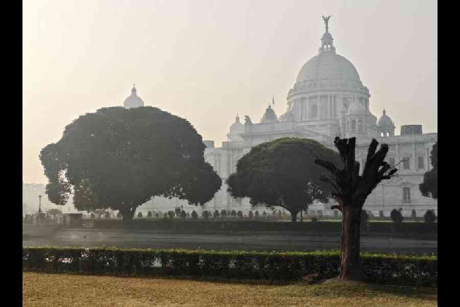 Taken around 7.30am, a closer look at the picture will highlight some noise