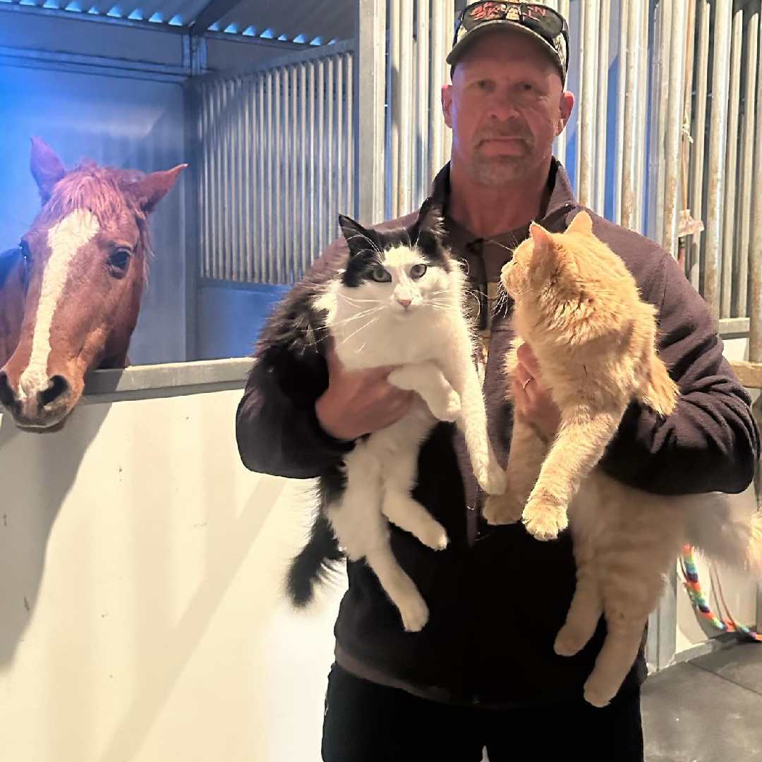 Austin also has a pet horse, Rebel, and two dogs, Moolah and Cali. His four-legged friends accompany him on his truck during weekend drives. 