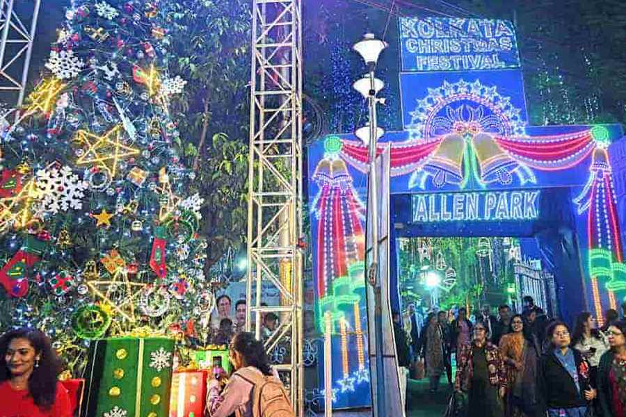 Allen Park on Park Street: The epicentre of the festival