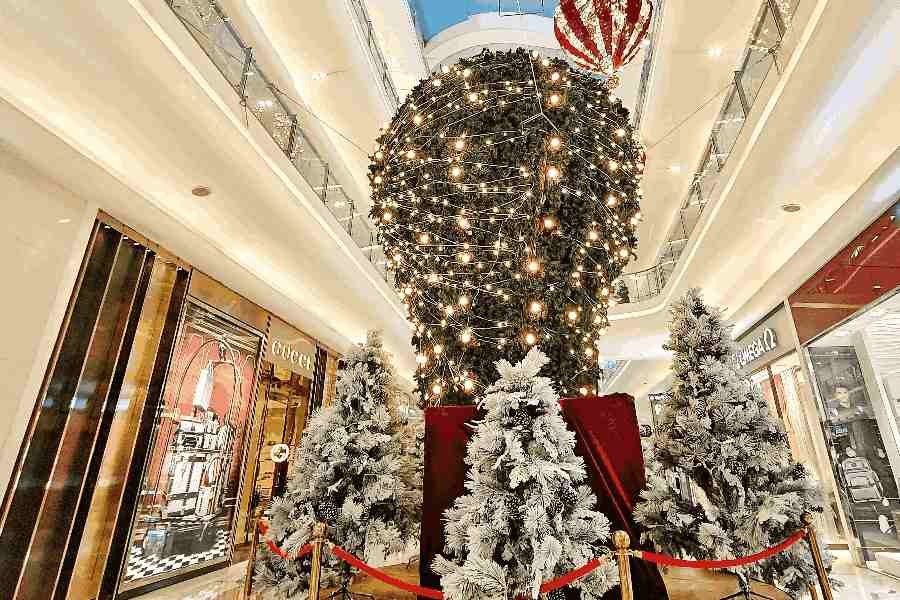 Swarup Dutta has made two art installations inside the mall. A prominent Christmas tree adorned with twinkling lights stands tall as you enter the mall and turn right. The tree is surrounded by smaller ones, made to look snow-kissed