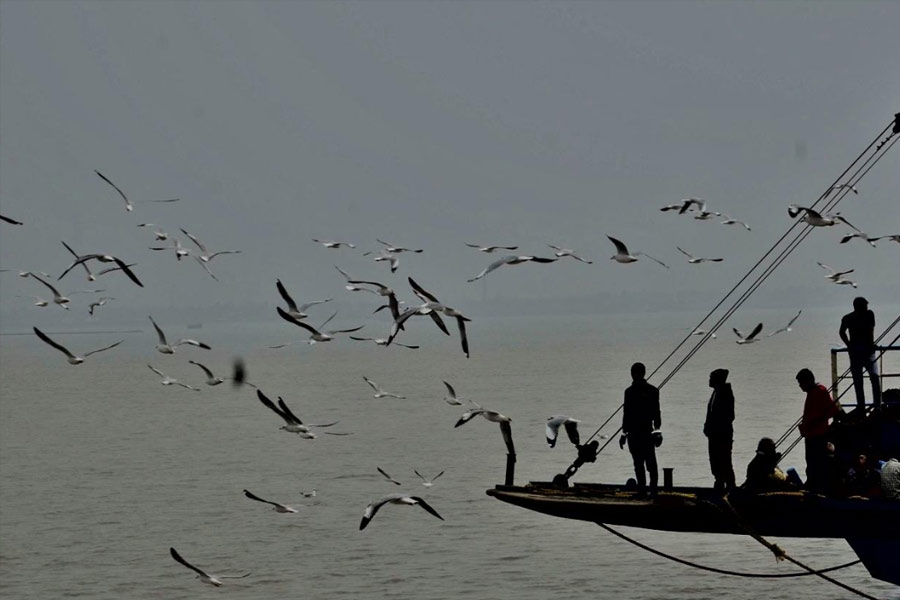 Seagulls fly over the Muri Ganga river near Sagar Islands on Tuesday