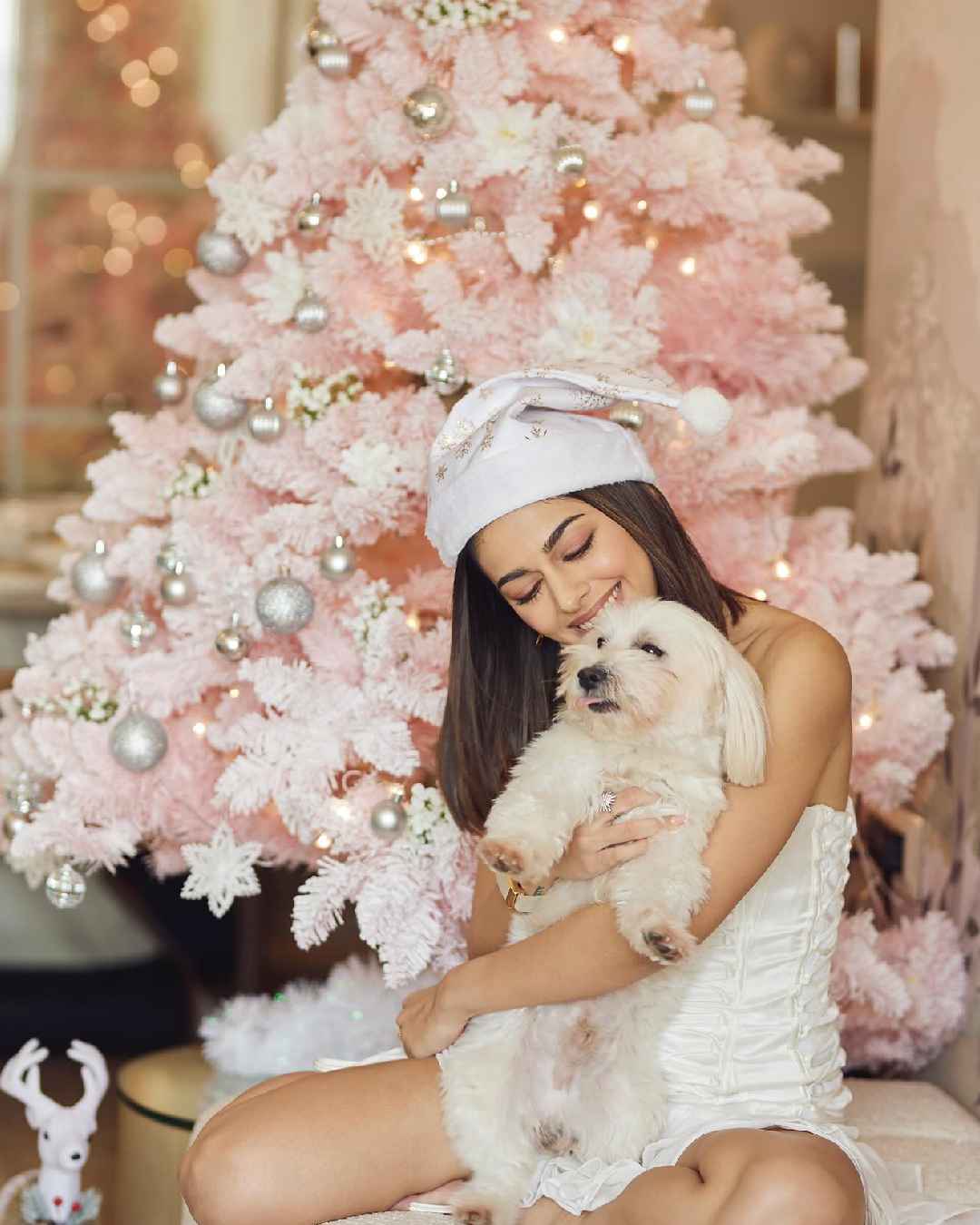 Srikanth actress Alaya F looked gorgeous in a white corset dress with a pink Christmas tree in the background. She also donned a white Christmas cap and posed with her pet dog, MJ.  