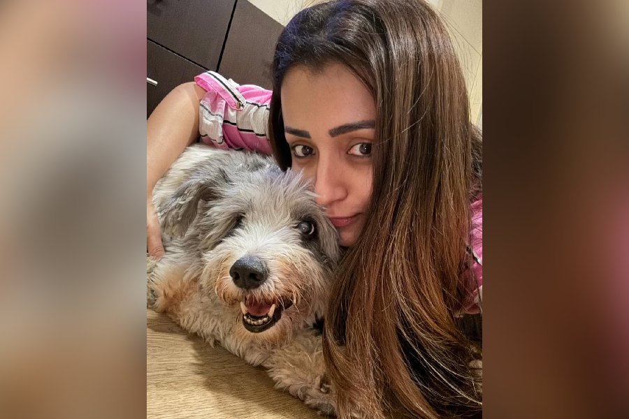 Trisha Krishnan with her furry friend Zorro