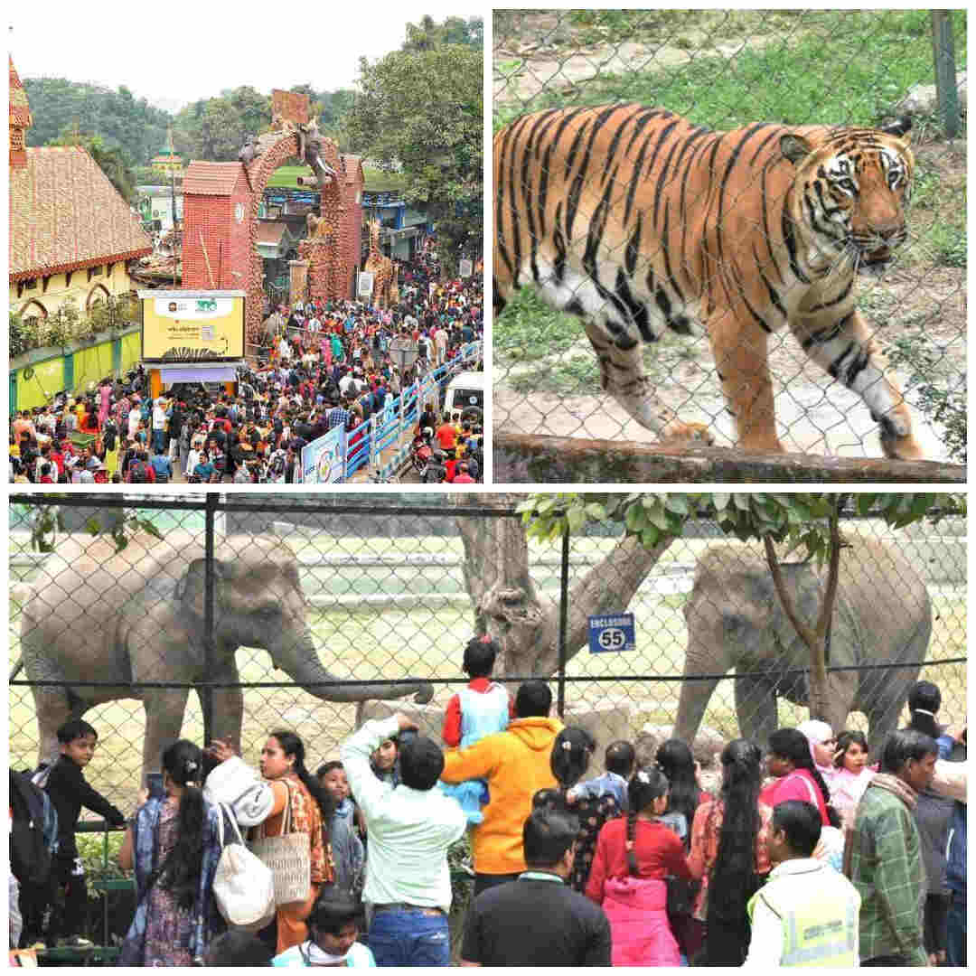 Thousands of Christmas Day revellers kept their date with Alipore zoo on Wednesday and the animals did not let them down