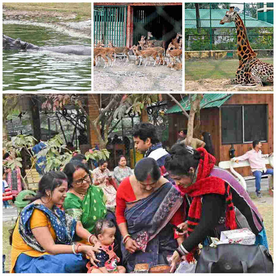 A family surrounding a toddler and cutting a Christmas cake on the lawns of Harinalaya Mini Zoo captured the essence and spirit of the festival and why the park commands such popularity  