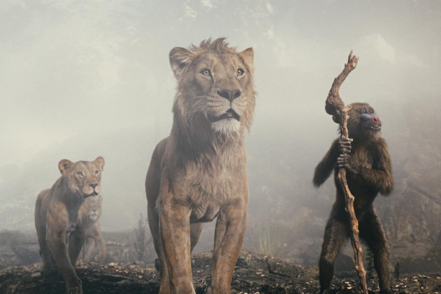 Mufasa: The Lion King (Hindi and English) is running across city theatres