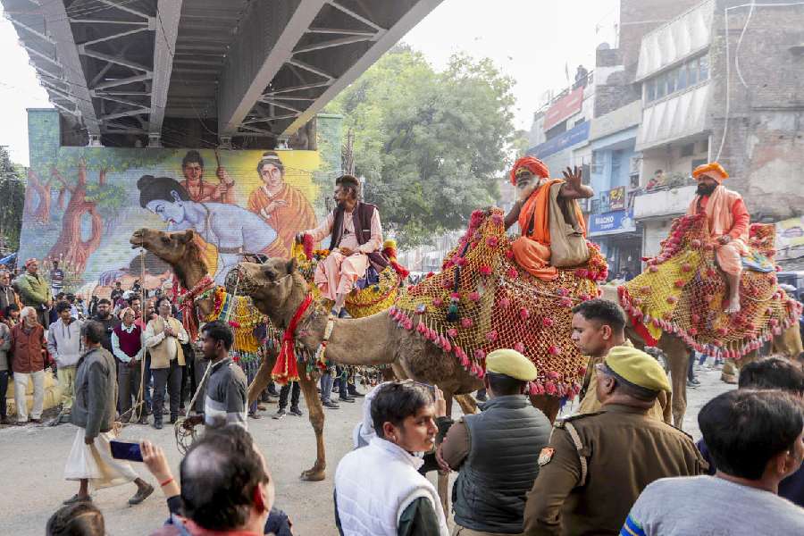 A glimpse of the 'Peshwai' procession. PTI