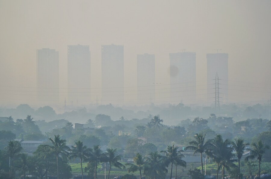 Smog-enveloped Dhapa and East Kolkata Wetlands paints a pretty picture on Saturday morning, with four days left for 2024 to end