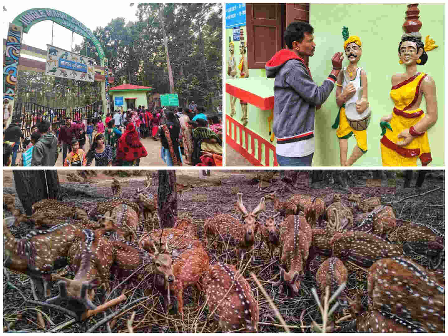 (Clockwise from top left) The crowded main gate of Jhargram Zoo (Deer Park) on Saturday afternoon; an artist paints a Santhal couple at the gate and a herd of spotted deer at the park
