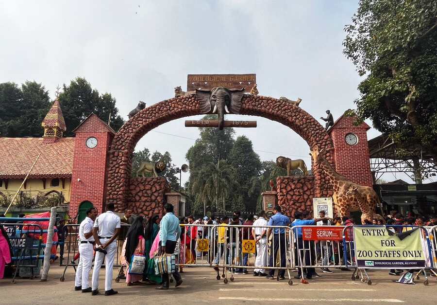 Holiday revellers enjoyed the last day of 2024 at Alipore Zoological Gardens on Tuesday