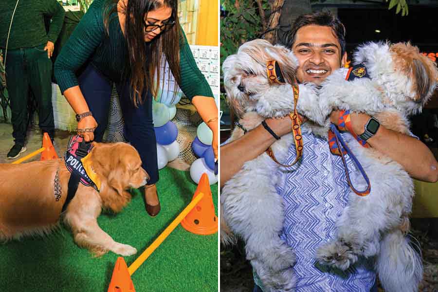 In pictures: A furry affair at Woofs and Wags’ third birthday bash