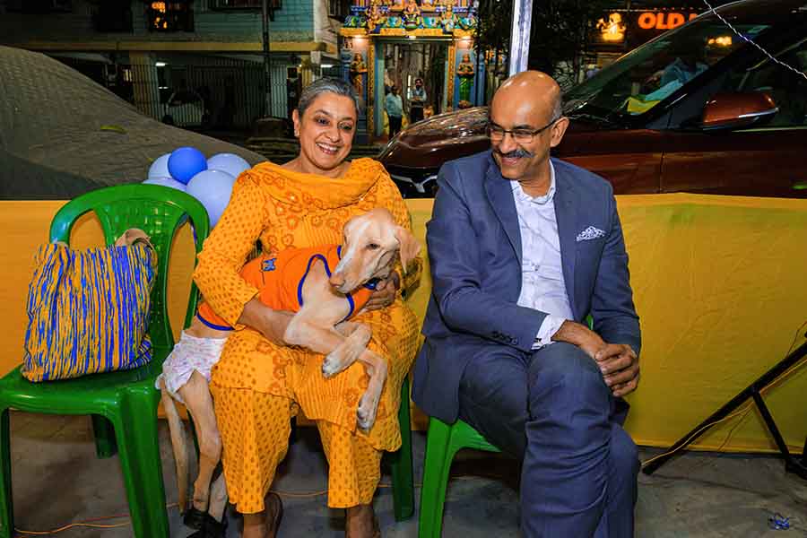 Mohan and Seema seemed really happy with Vayu, their two-year-old special baby. “Vayu met with an accident and can’t use his hind legs ever since. Woofs and Wags has been a big help because now we can travel without worrying, knowing that Vayu and our other three dogs are well taken care of here,” said Seema, who is also a parent to four rescued cats