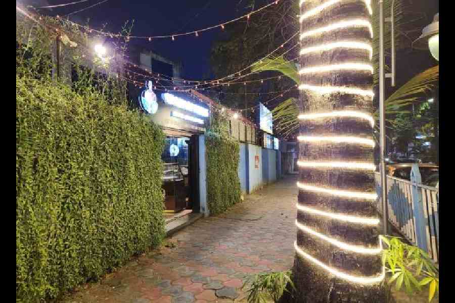 Lights intertwining a tree outside a cafe opposite IA Block. Pictures by Brinda Sarkar