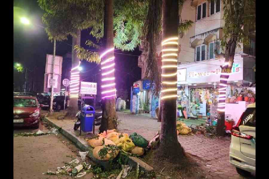 Lights on multiple trees on a DB Block footpath