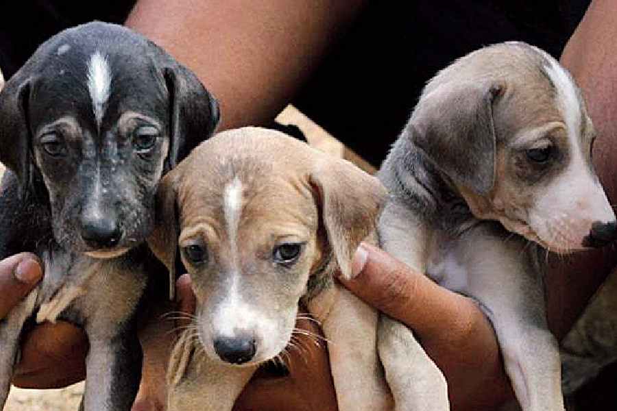 Representational Image