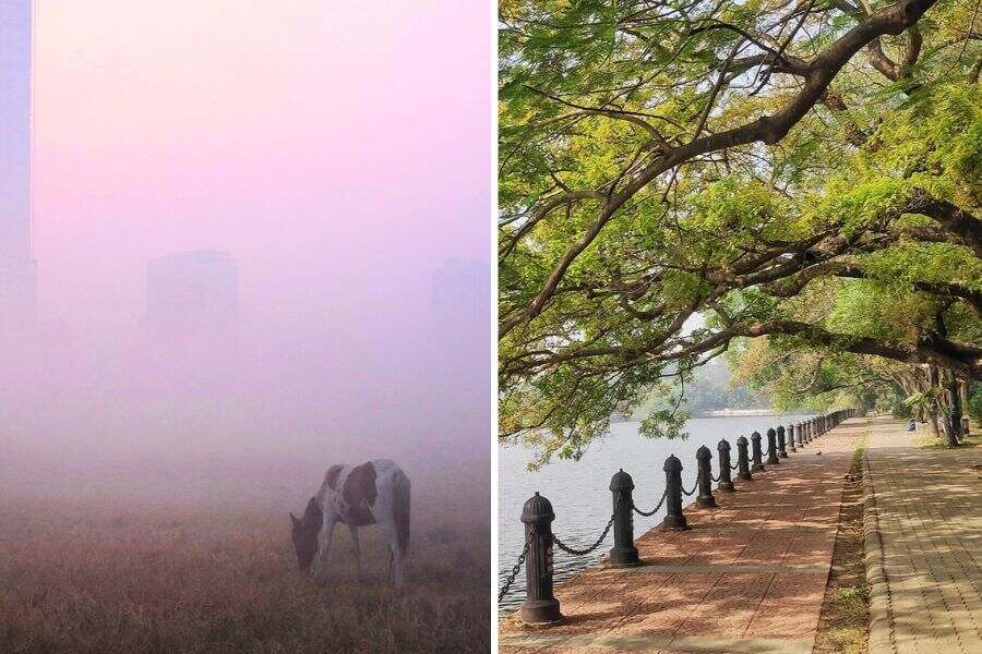 From misty mornings at the Maidan and strolls around Rabindra Sarobar, to special breakfast menus — south and central Kolkata have some great spots to enjoy the winter