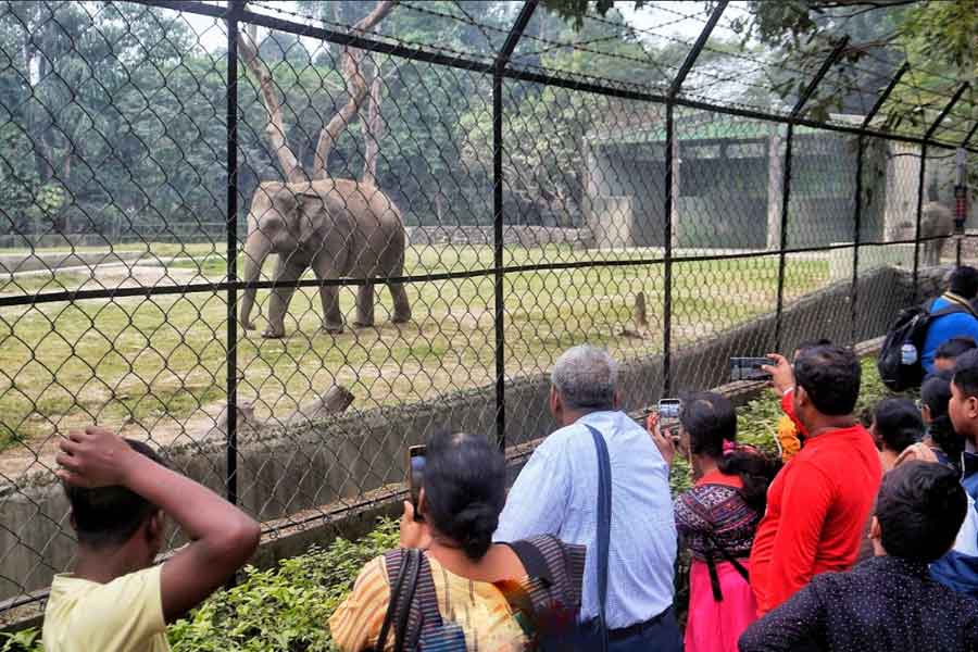 The zoo makes for the perfect picnic spot during winters, especially for the kids