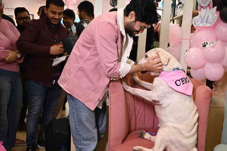 Vikram Chatterjee pets CEO Gublush. #weloved