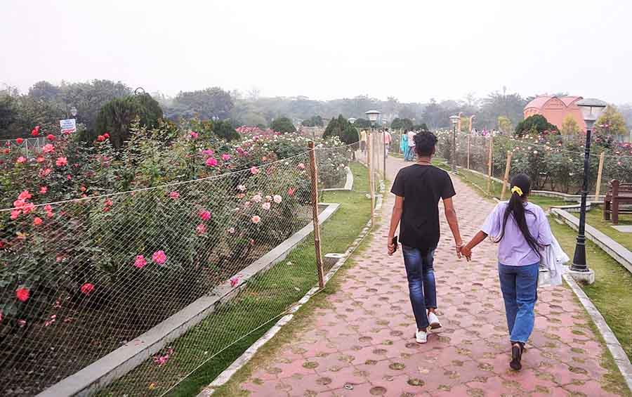 As the city geared up to celebrate Rose Day today, My Kolkata took a walk through Eco Park’s quaint Rose Garden, which has become a favourite spot for couples — and families— looking for a day out 