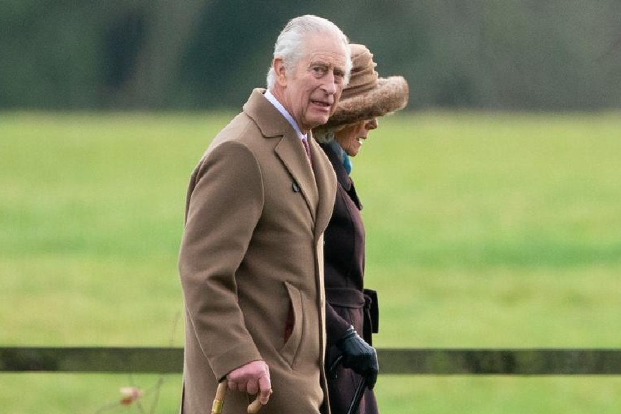 Buckingham Palace releases first official portrait of King Charles and  Queen Camilla - ABC News