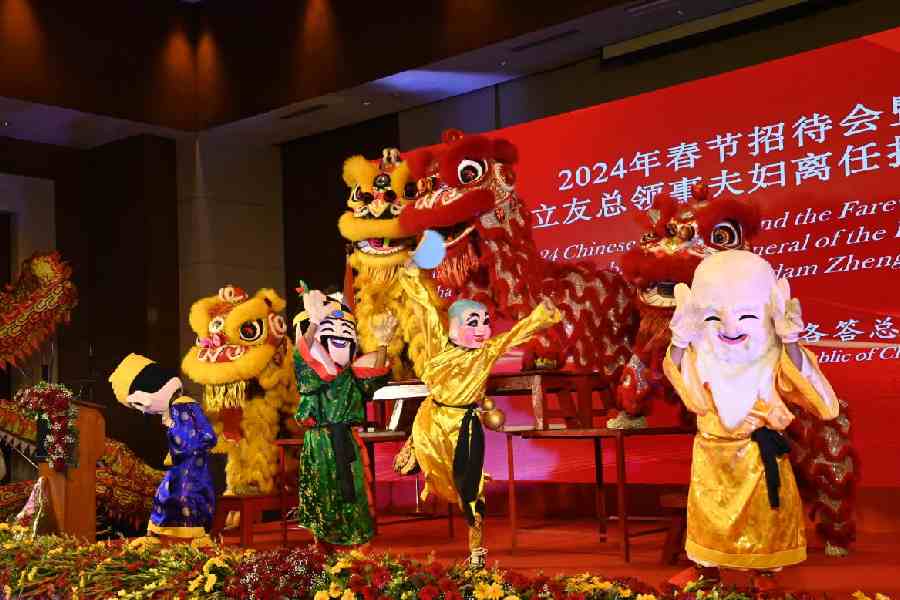 Lion dance to welcome the Chinese new year