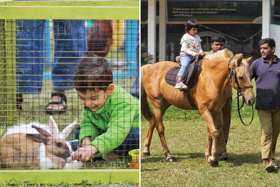 Apart from their own pets, members got to interact with animals from CAPE Foundation, and horses from Tolly Club’s own stables