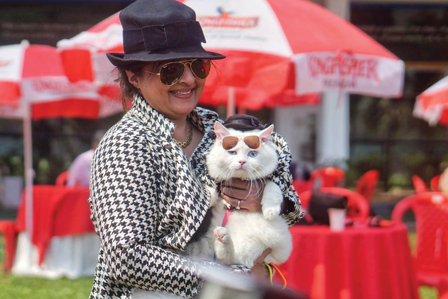 All eyes were on Ritu Narayan’s Persian cat, Sugar, who bagged the first prize in the ‘Pet Parent Lookalike’ category