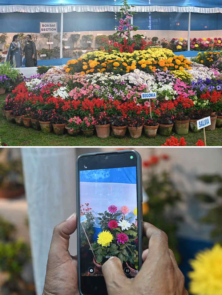 A flower show is being organised by Kolkata Municipal Horticulture Department at Mohar Kunja. This 4-day flower show will began on February 16  