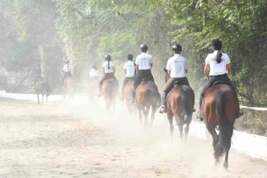 The equestrian races are a signature of Tollygunge Club and the fest gloriously hosted the races as a successful event.
