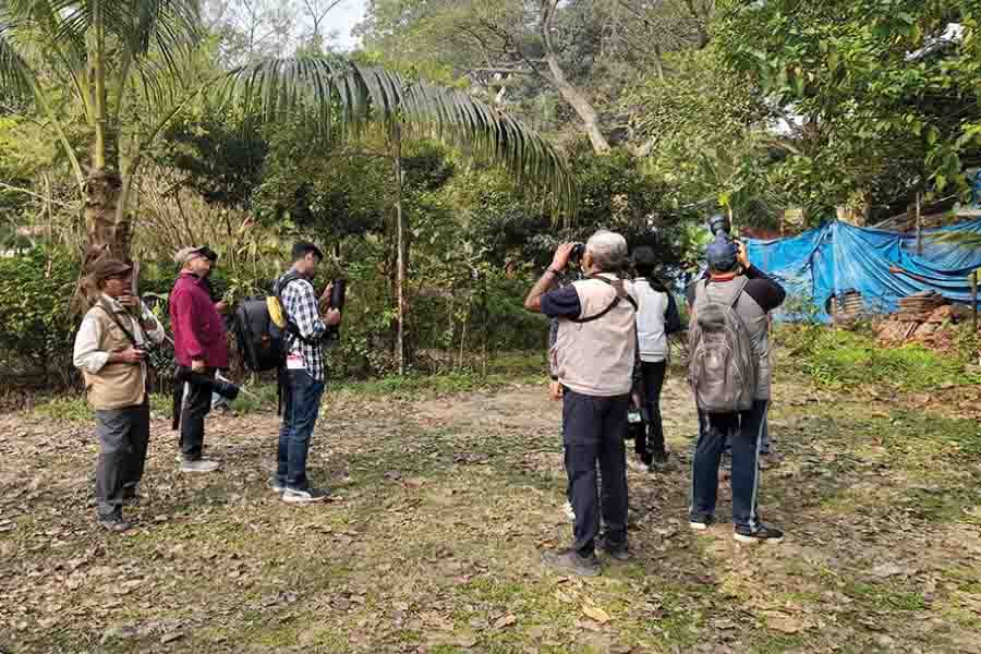 Participants of the photo walk train their cameras at Rabindra Sarobar to catch the elusive birds