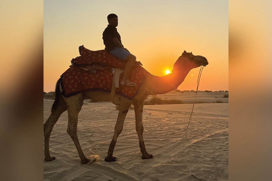 Camel ride is highly recommended —  those ups and downs in a dune can be more thrilling than a roller coaster