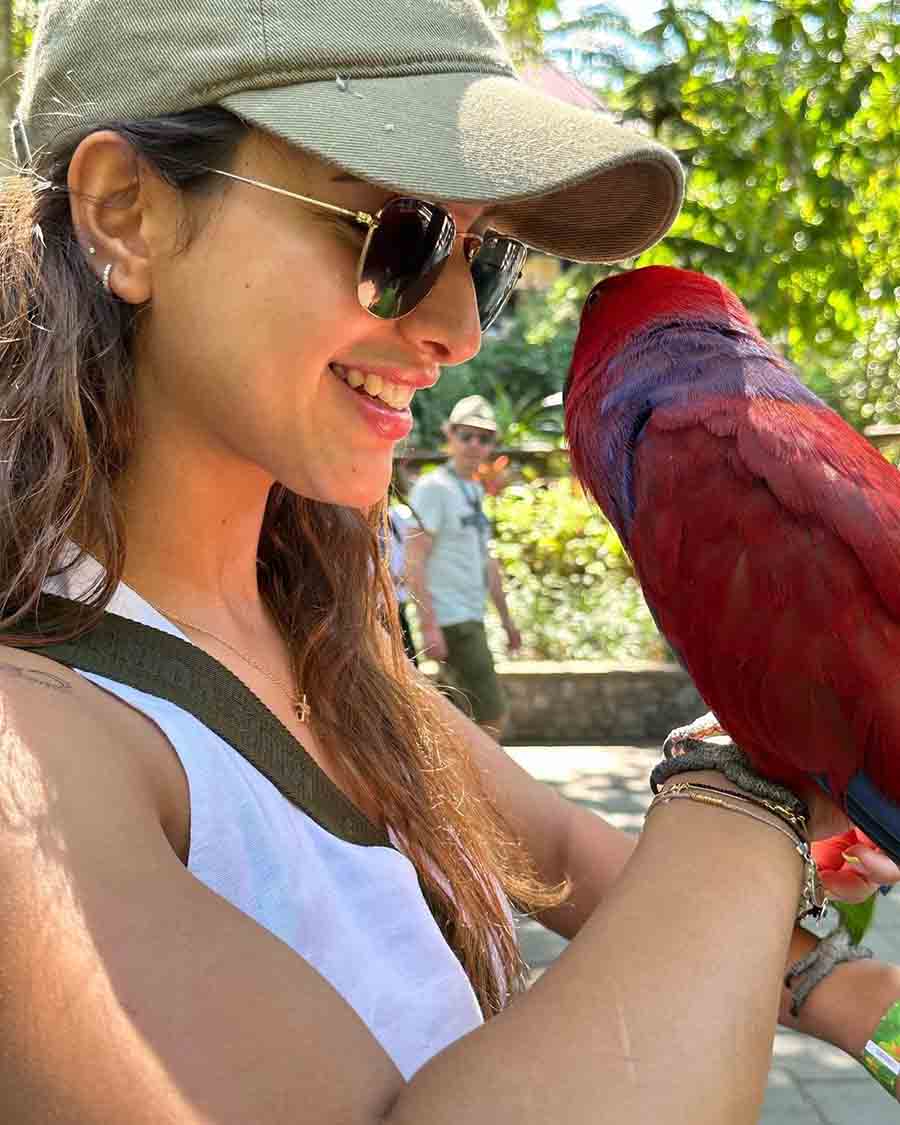 Driven by her love for animals, Triptii seemed keen to strike up a conversation with a macaw.  