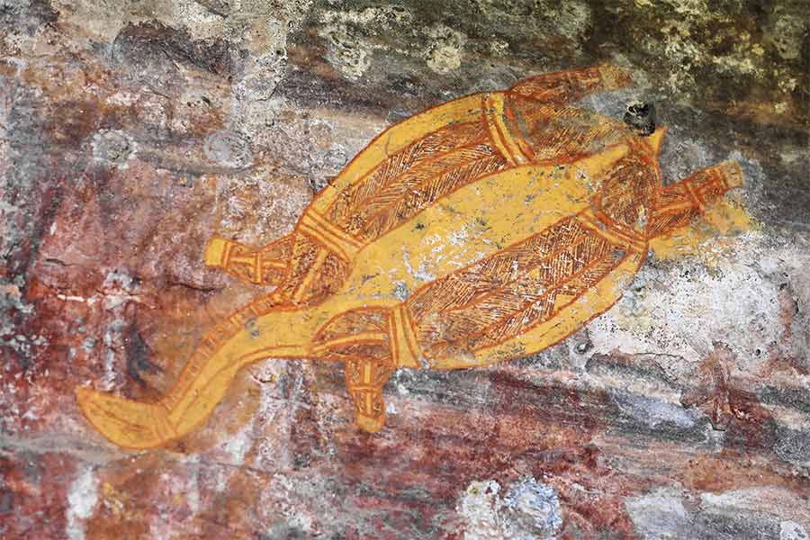 An almangiyi, or long neck turtle, painted with colours made of ochre, clay mineral and pigments mixed with blood and fat, at a rock in Kakadu National Park 