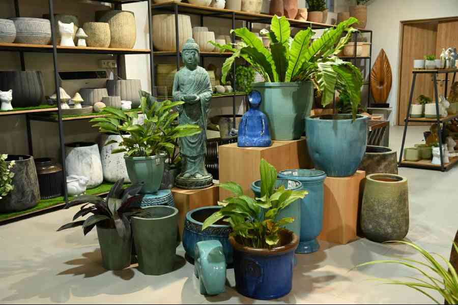 The interiors of the studio are distinguished by a colour theme that is appeasing to the eyes. This particular corner had the blues and nudes with a hint of peach