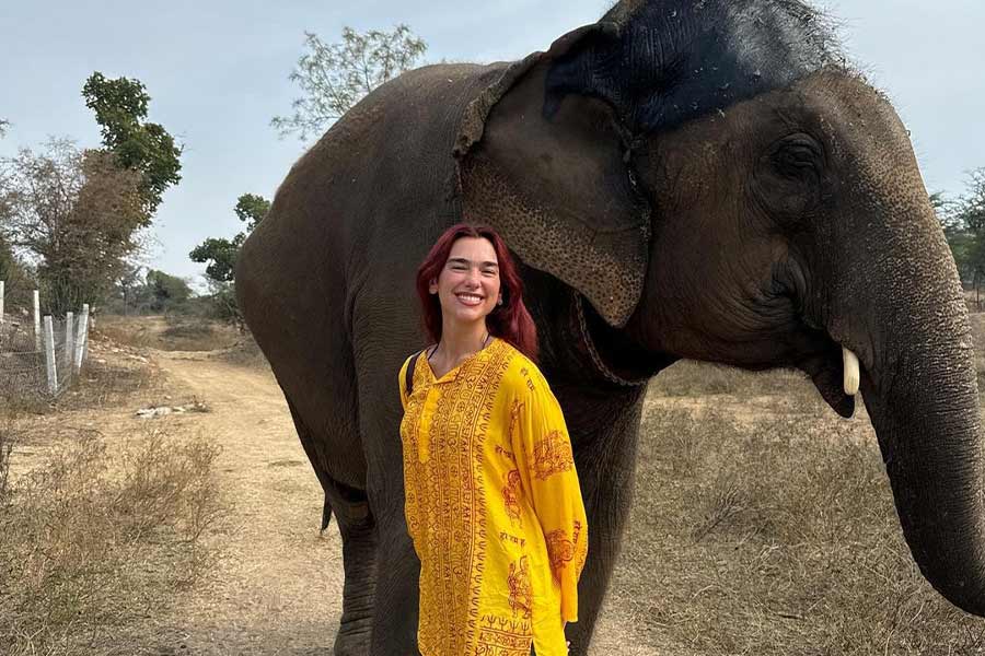 The British-Albanian singer was all smiles as she posed with an elephant during the trip.