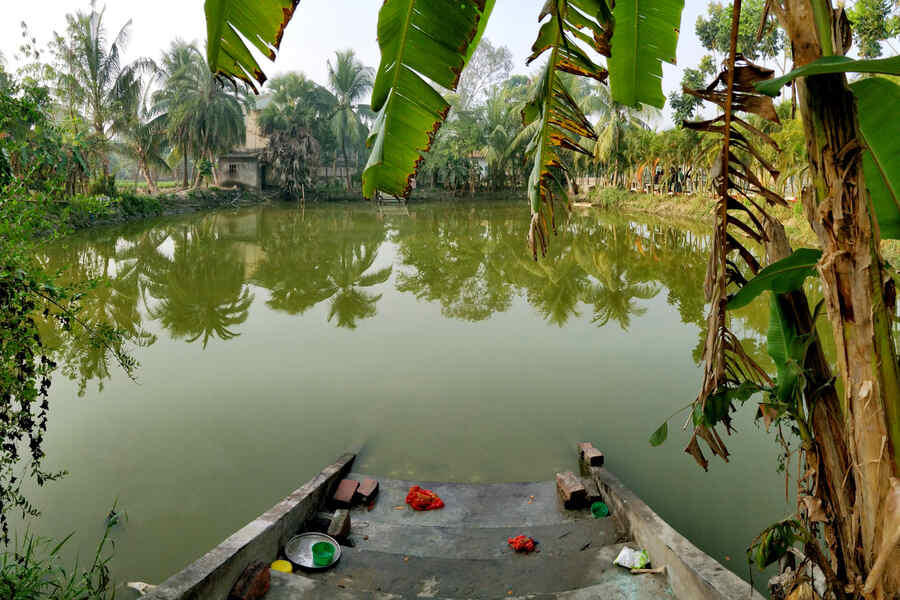 KMC has found 432 ponds in ward numbers 133 to 141 of Garden Reach in its preliminary survey