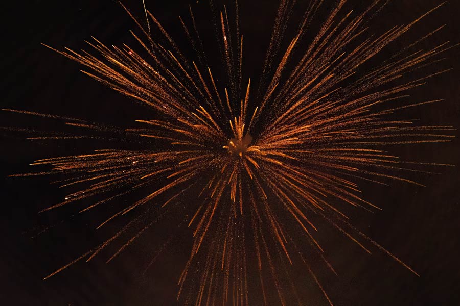 As the clock struck midnight, the sky lit up with an elaborate fireworks show!  