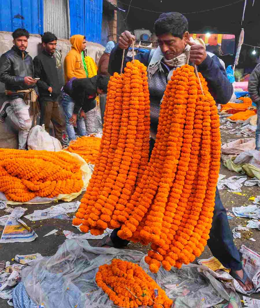 A vibrant symphony at Mullick Ghat flower market, where the air is filled with the fragrance of seasonal blooms and the hustle of dedicated flower-sellers weaving a tapestry of colour amid the chill  