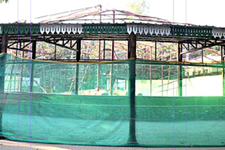 Renovation of chimpanzee enclosures at the Alipore zoo on Wednesday.
