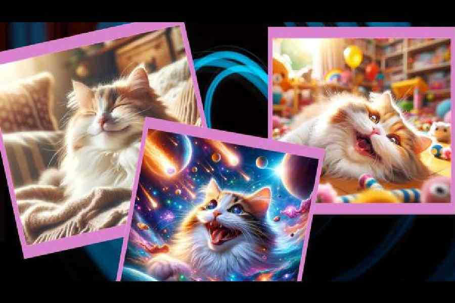 You can instruct ChatGPT to create images, like “generate a happy cat”, “a weirdly happy cat”, “a happy-as-a-rainbow cat” and “a cat whose happiness has made it bounce its way into outer space