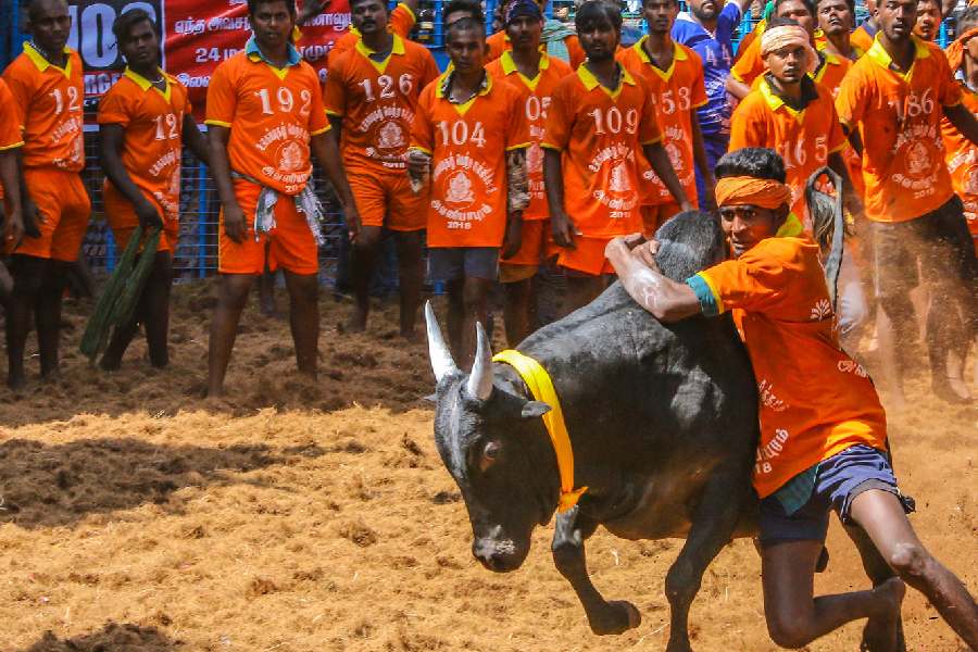 Representational Image