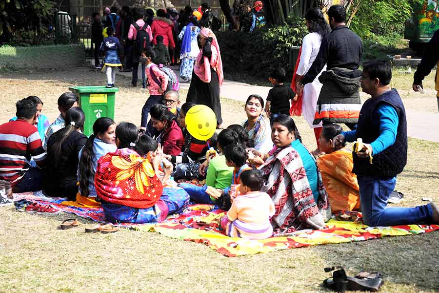 If you don’t mind a crowd for company, the sprawling gardens and collection of wildlife makes the Alipore Zoo an ideal spot for a winter’s day out 
