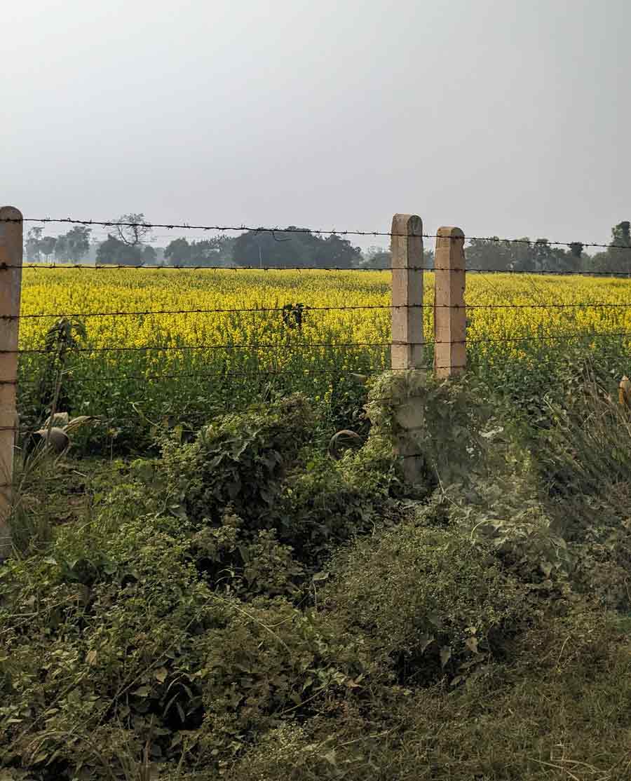 Then head onwards to Tarapith from Bolpur, a two-hour drive that is scenic in parts, especially in the winter months, when the mustard fields are in full bloom. Much of the road, however, is bumpy and busy. An alternate mode of transport is the Maa Tara Express train, which leaves from Sealdah station every morning and evening to Rampurhat 