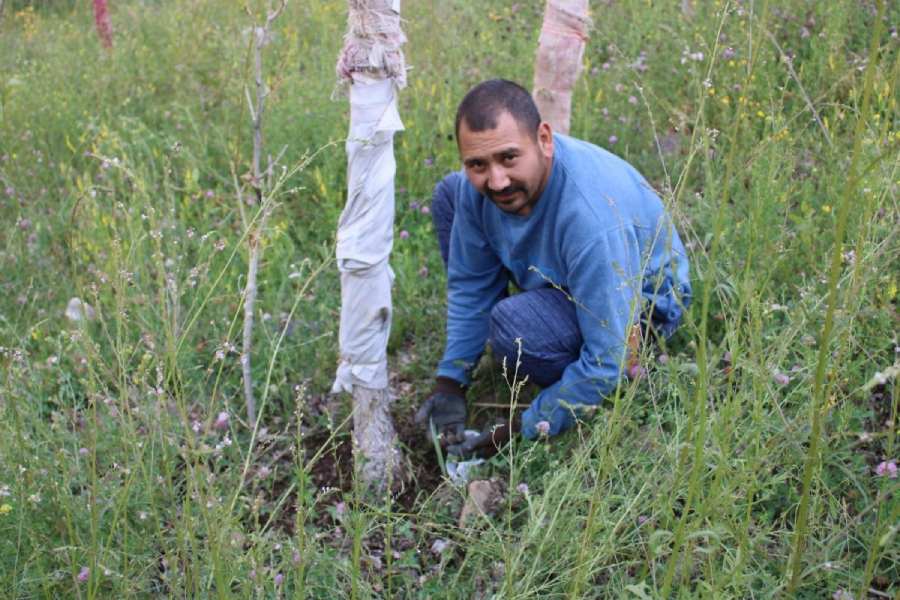 Mohammed Hussain at a study site